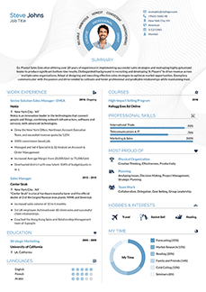 Professional CV Template