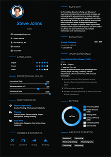 Professional Resume Template