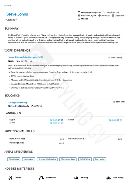 Learnt languages, professional and soft skills and hobbies have a place on the left. While your educational and professional skills are on the right in this resume template 
